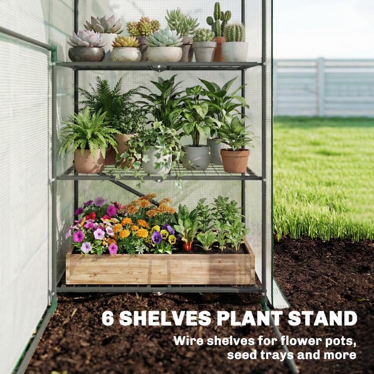 White PE greenhouse with green frame, 6 wire shelves filled with potted plants