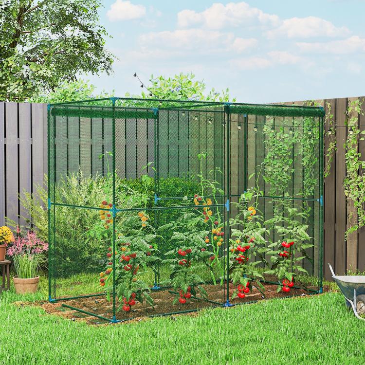 Green walk-in plant protector cage with mesh walls in a backyard garden