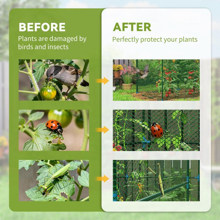 Green mesh plant protector cage showing protected garden plants inside