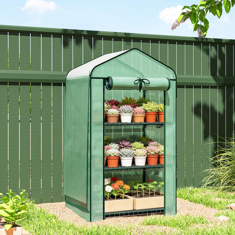 Green screened mini greenhouse with arched roof, set on garden ground