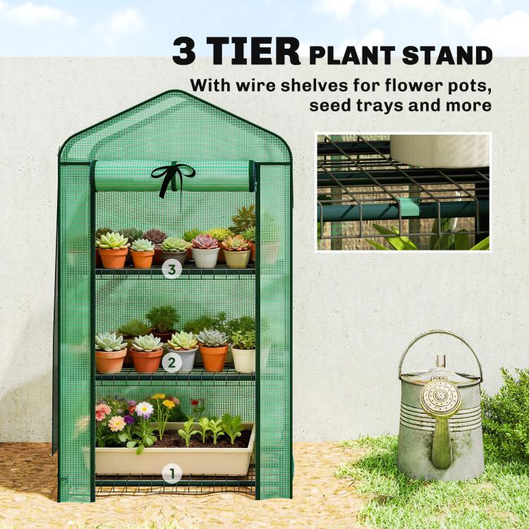 Green mini greenhouse with three-tier wire plant stand inside screened frame