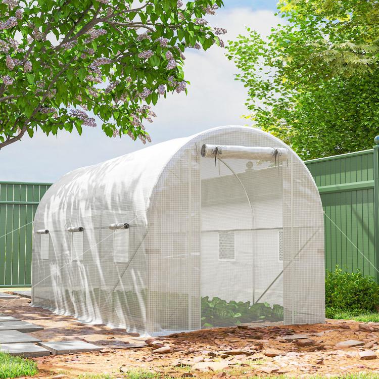 White tunnel greenhouse with front mesh door and window panels on arched frame