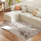 Abstract 4x6 area rug with faded brown and taupe distressed design on light ground