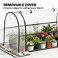 Raised garden bed with removable clear greenhouse cover and open front side panel