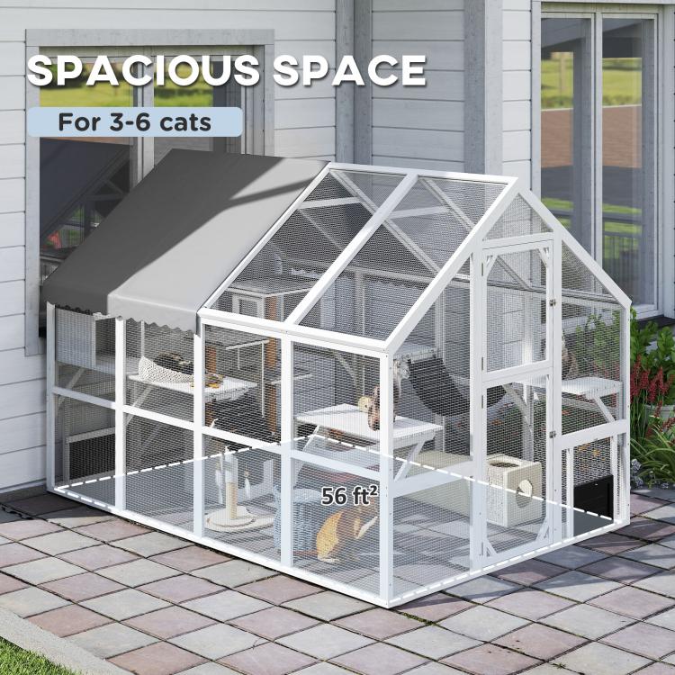 White outdoor wooden cat enclosure with gray roof for multiple cats, multi-level platforms