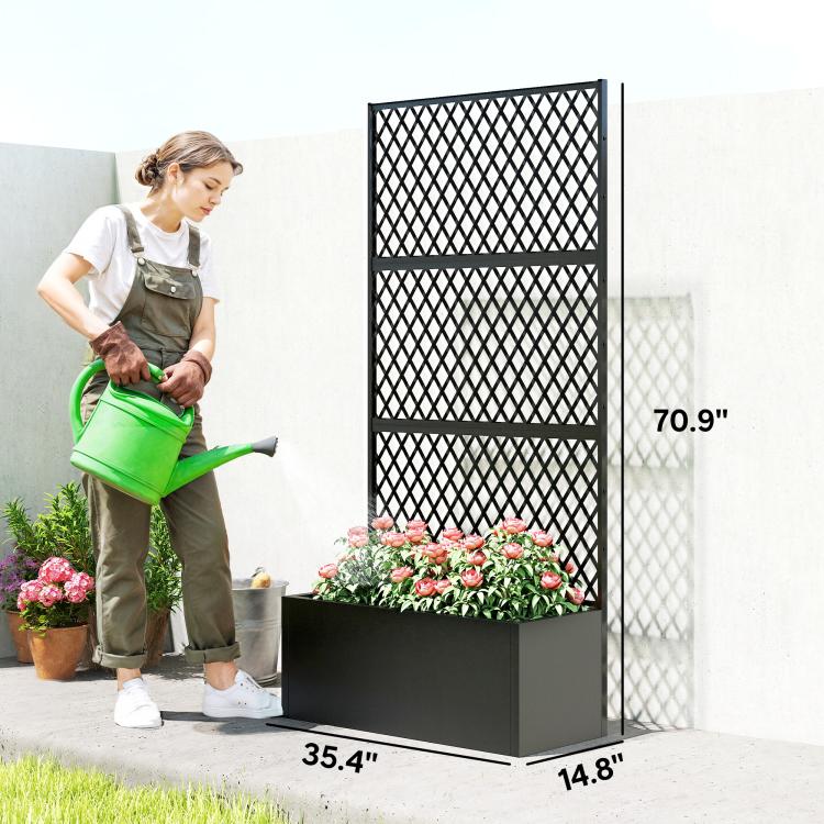 Black metal planter with diamond lattice trellis and flower bed