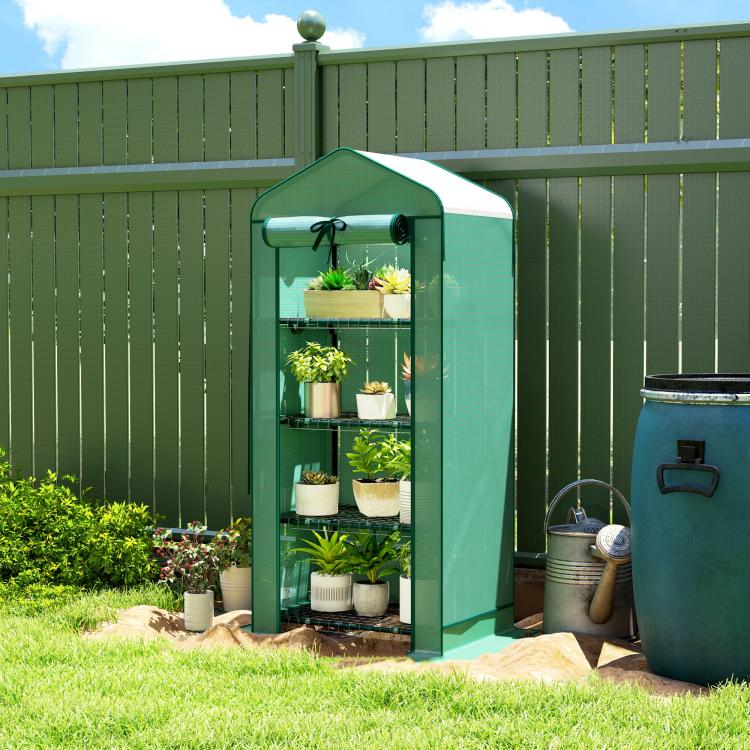 Green mini greenhouse with transparent PE cover and four-tier shelving in outdoor yard