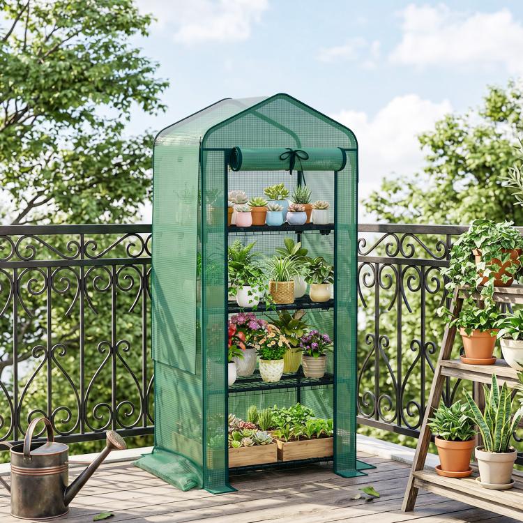 Green mini greenhouse with transparent PE cover and four-tier shelf display on terrace