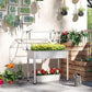 White raised garden bed greenhouse with clear cover and stacked planter trays inside