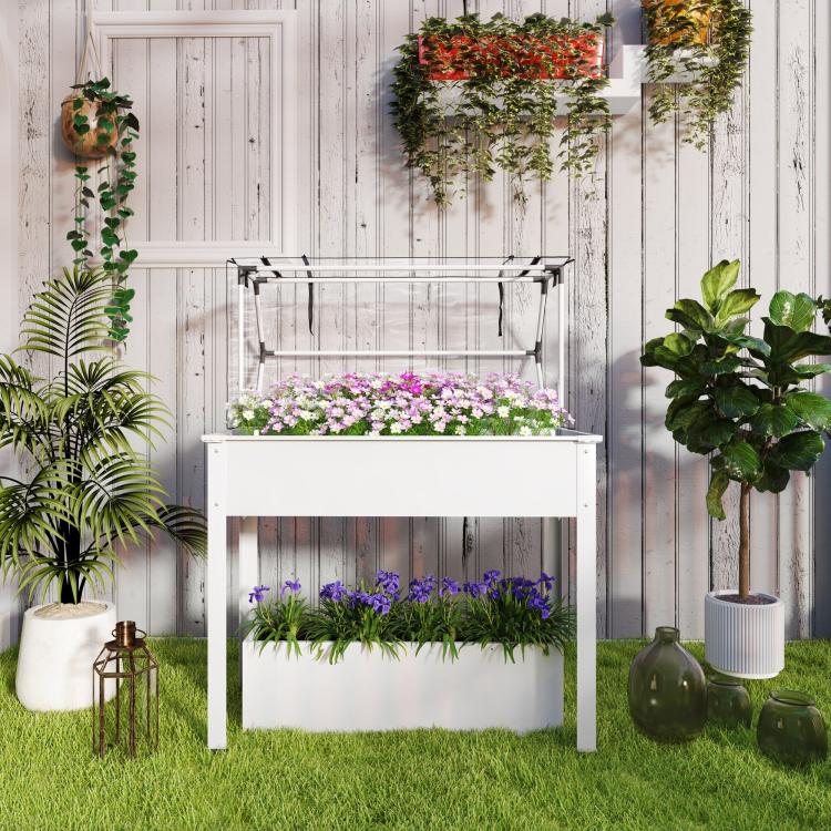 White raised garden bed with clear greenhouse cover and two levels of planted greens