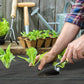 Woven dark gray weed barrier fabric sheet being laid around small plants