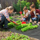 Dark gray weed barrier fabric laid across garden beds with aligned edges