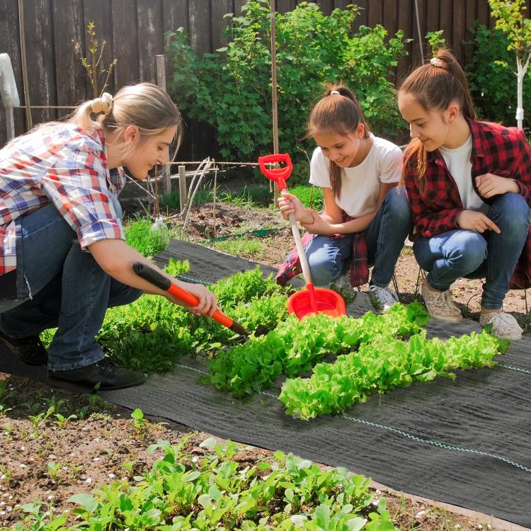 Dark gray weed barrier fabric laid across garden beds with aligned edges