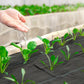 Dark gray weed barrier fabric with small green sprouts emerging through it
