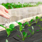 Dark gray weed barrier fabric in a planting area with seedlings through holes