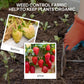 Dark gray weed barrier fabric laid over soil around garden plants
