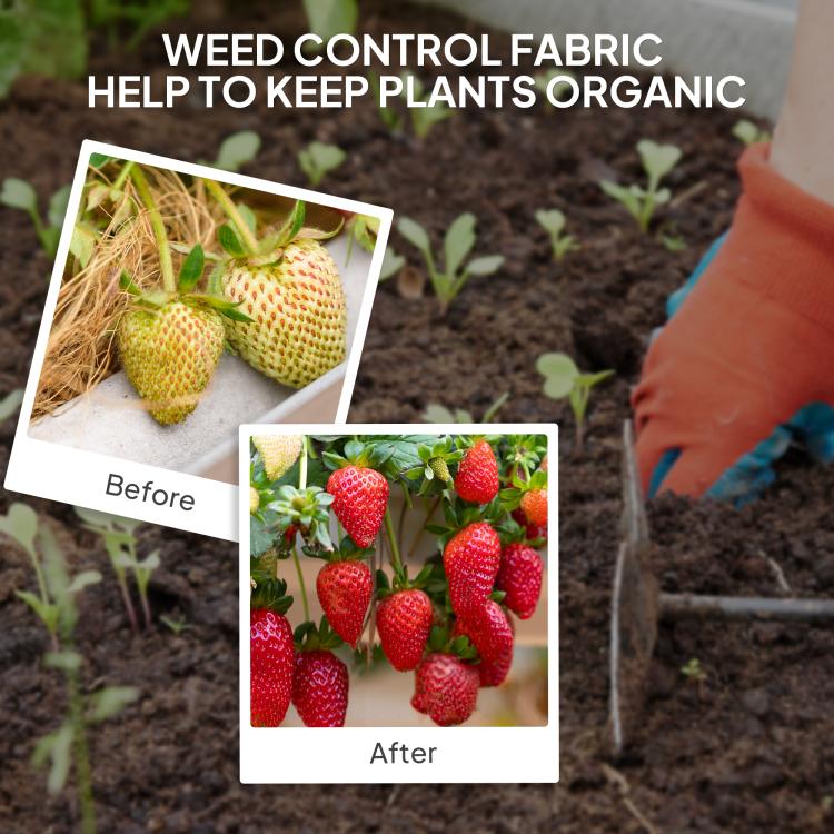 Dark gray weed barrier fabric laid over soil around garden plants
