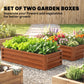 Two brown wooden raised garden boxes with slatted sides, filled with leafy greens