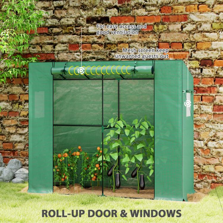 Green greenhouse with roll-up door and mesh screen panels for airflow