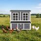 Wooden chicken coop with two front windows, dual doors, dark roof, yard