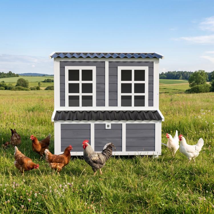 Wooden chicken coop with two front windows, dual doors, dark roof, yard