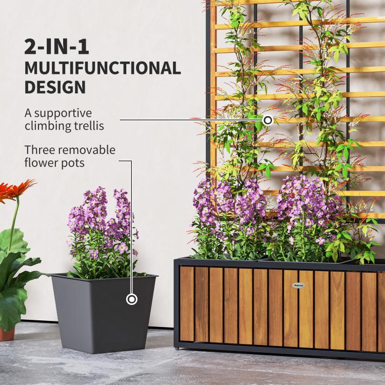 Raised garden bed with trellis and removable flower pots holding climbing plants
