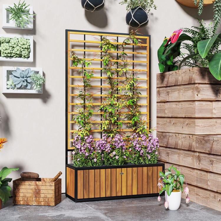 Wooden raised garden bed with trellis panel and front planter with mixed plants