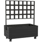 Raised garden bed planter with black trellis and dark wooden box on wheels