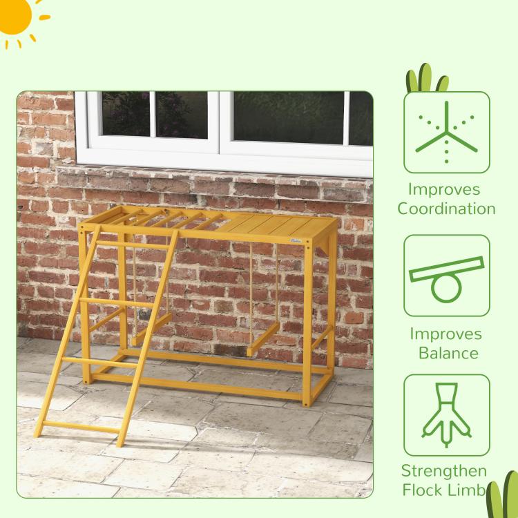 Wooden chicken coop activity center with swing and ladder for active play