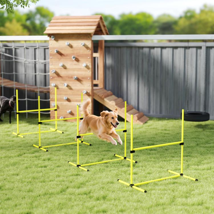 Yellow dog agility jump course with adjustable height bars and black clamps on lawn