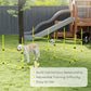 Yellow dog agility jump course with adjustable bars and black clamps for backyard training