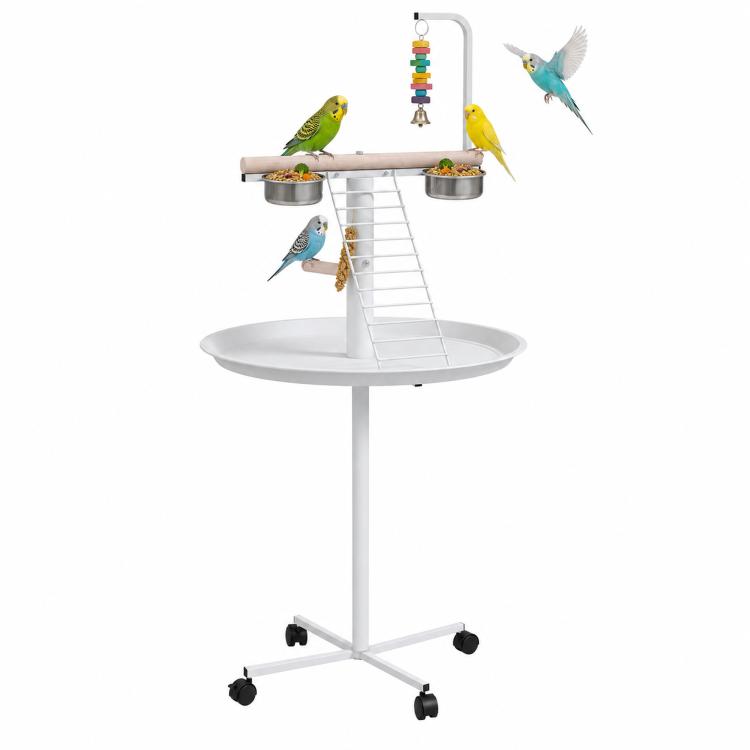 White bird stand with round tray, ladder perch, and two metal feed bowls on wheels