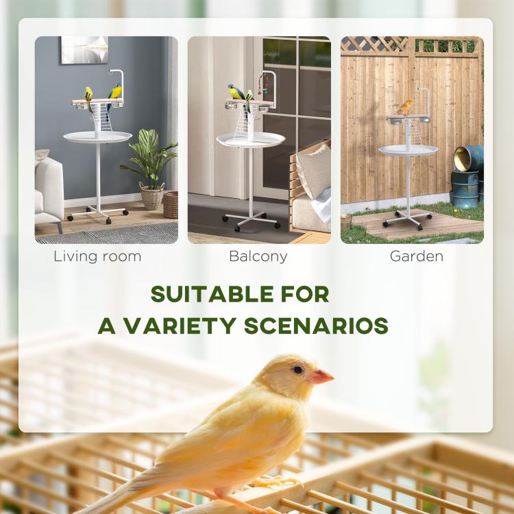 Bird stand with round tray, ladder perch, and two metal bowls shown in indoor settings