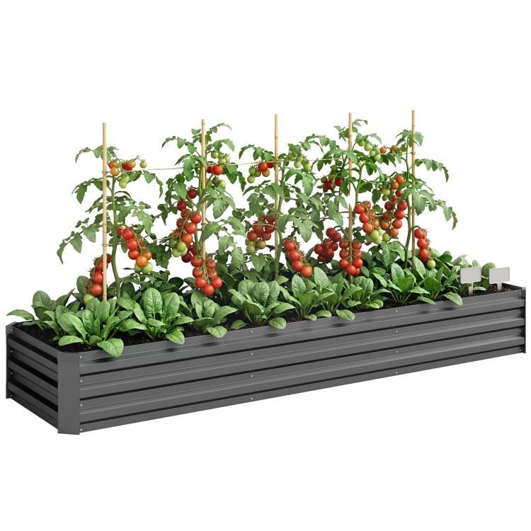 Dark gray raised galvanized garden bed with tomato plants and leafy greens