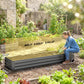 Dark gray raised galvanized garden bed with planting area and surrounding garden plants