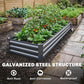 Dark gray raised galvanized garden bed with leafy greens and fruiting plants
