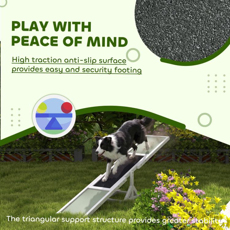 White wooden dog agility seesaw with anti-slip black surface, dog climbing on ramp