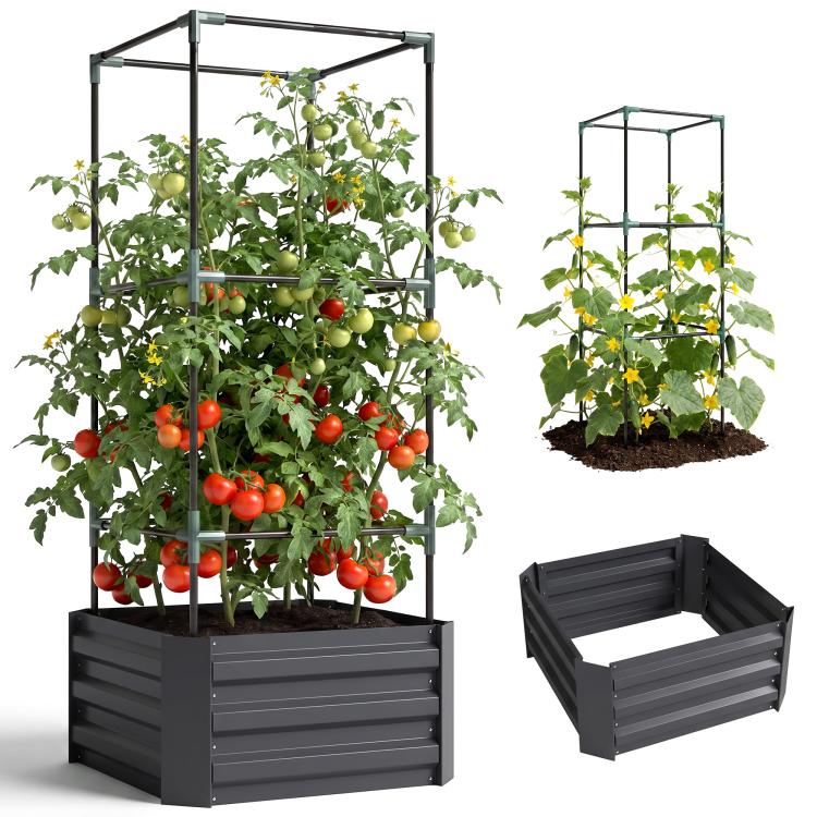 Dark gray raised garden bed with metal trellis and tomato vines, filled with soil