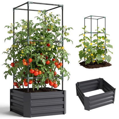 Dark gray raised garden bed with metal trellis and tomato vines, filled with soil