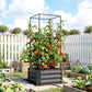 Dark gray raised garden bed with tomato cage, soil and vine plants inside