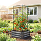 Dark gray raised garden bed with metal trellis and red tomatoes, planted in soil