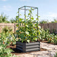 Dark gray raised garden bed with upright metal trellis and green climbing plants