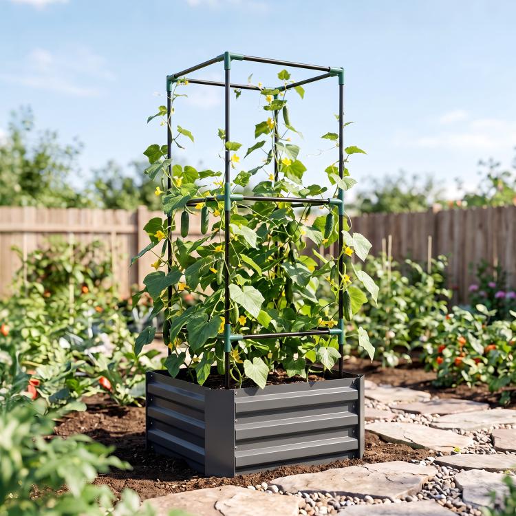 Dark gray raised garden bed with upright metal trellis and green climbing plants