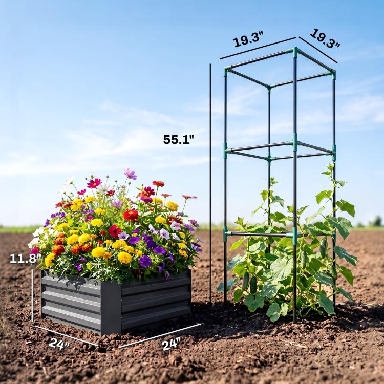Dark gray raised garden bed with tall metal trellis for flowers and climbing plants