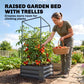 Dark gray raised garden bed with metal trellis supporting tomato plants in soil