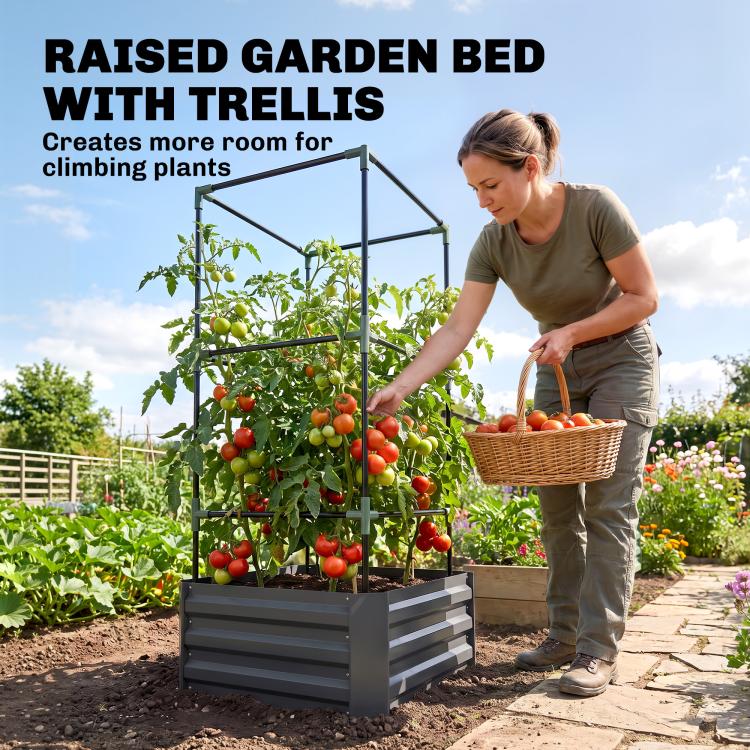 Dark gray raised garden bed with metal trellis supporting tomato plants in soil