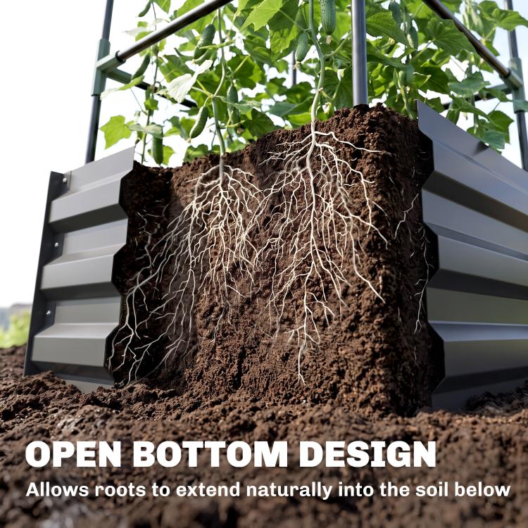 Open-bottom raised garden bed with soil and visible root network beneath trellis