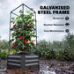 Dark gray raised garden bed with galvanized steel trellis holding tomato plants
