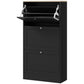 Black shoe storage cabinet with two front drawers and open flip shelf compartments
