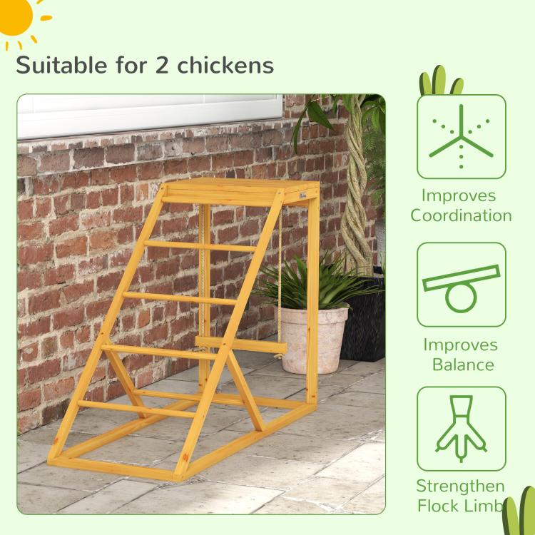 Wooden chicken activity center with ladder and swing, yellow frame for two chickens